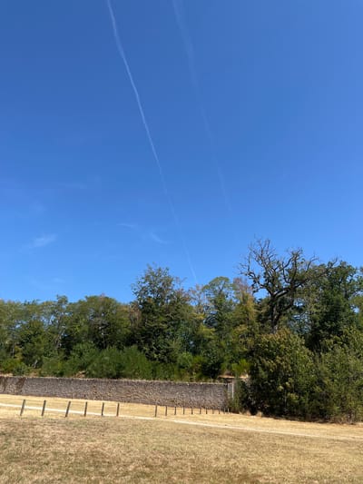 The image captures a view of a dry, grassy field in front of a stone wall and a line of trees under a clear blue sky with two faint airplane contrails. The field is sparsely covered with dry, yellow grass, and several wooden posts are spaced out in a line across the field, suggesting a boundary or marker. Behind the field, a long, textured stone wall runs horizontally. Beyond the wall, a dense line of deciduous trees with green foliage forms a backdrop, with a large, bare tree with intricate branches standing out prominently on the right side. The sky is a vibrant blue, devoid of clouds except for the two thin, white contrails that stretch diagonally across the upper portion of the frame. The scene appears to be an outdoor historical site or park area, possibly part of the grounds of the Château de Rambouillet in Rambouillet, France, given the style of the stone wall and the natural landscape. There are no people or animals visible in the image.
