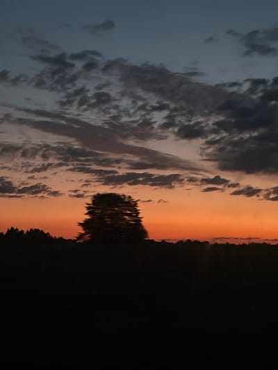 The image depicts a silhouetted landscape at dusk. A dense band of dark foliage, possibly a forest or a line of trees, forms the horizon. Above this dark silhouette, the sky transitions from a deep orange near the horizon to a muted blue at the top. Scattered across the sky are numerous clouds, varying in shade from dark gray to lighter tones. A solitary, somewhat blurred tree stands prominently against the orange sky, its branches appearing feathery and indistinct. The overall impression is of a rural or undeveloped area. The specific location in Поварёнки, Russia, is not visually indicated within the image itself.
