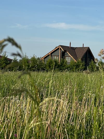 A dark wooden house with a brown roof and chimneys is nestled behind tall green grass and trees. The sky above is a clear, light blue with a few wispy clouds. The foreground is filled with a dense field of grass, with some stalks appearing dry and brown, while others are a vibrant green. Some seed heads are visible within the grass. The overall scene suggests a rural or semi-rural setting on a sunny day. The image is taken from a low angle, looking up towards the house. The location is identified as Novaya Ropsha, Russia. There are no people or visible actions in the image.