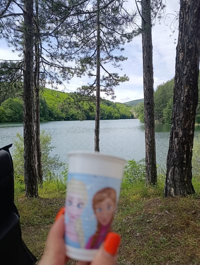 A person is holding a paper cup with characters from the animated movie "Frozen" printed on it, in front of a serene lake scene. The cup is positioned in the foreground, partially obscuring the view of the lake and the surrounding lush green trees. The lake is calm with a slightly rippled surface, reflecting the overcast sky. Tall, slender pine trees with rough bark stand on the right side of the frame, framing the lake. The background shows a densely forested hillside with varied shades of green foliage. The ground in the foreground is covered with dry grass, fallen pine needles, and small scattered pebbles, suggesting a natural, possibly recreational area. The lighting suggests it is daytime, with diffused light from the cloudy sky. The overall atmosphere is tranquil and natural, with the "Frozen" cup adding a playful, personal touch to the outdoor setting, which is located in the city of Nevestino, Bulgaria.