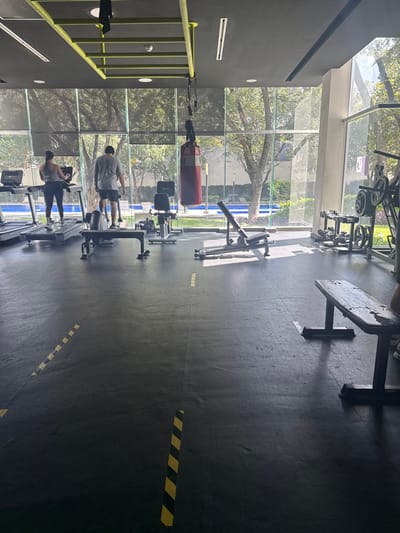 The scene depicts the interior of a fitness center, specifically a gym, located in Santa Catarina, Mexico. The room features a dark gray, tiled floor with several yellow and black striped hazard tape markings, indicating designated zones. To the left, a female individual in a grey tank top and dark leggings is operating a treadmill, facing away from the camera. Adjacent to her, a male individual in a grey t-shirt and dark shorts is using an elliptical or stair-stepper machine, also facing away.
Dominating the center of the room is a red and white punching bag suspended from a lime green structural frame attached to the dark gray ceiling. Various exercise equipment is distributed throughout, including multiple weight benches, one in the foreground to the right, and a rack holding dumbbells and weight plates along the right wall. The back and right walls are composed of large, floor-to-ceiling glass windows, partially covered by dark blinds. Through these windows, an exterior view reveals lush green trees, a well-maintained lawn, and a light blue swimming pool. Natural sunlight illuminates the interior from the windows.