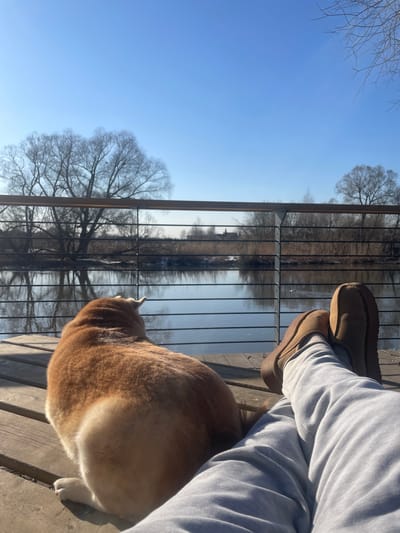 A sunny day on a wooden deck near a body of water. A person wearing grey sweatpants and brown shoes sits with their legs crossed. An orange and white cat sits beside them, its attention focused on something beyond a fence that borders the deck. Beyond the fence is a water body, reflecting the clear blue sky and bare trees on the opposite bank. The location is Fabriki 1 maya, Russia.