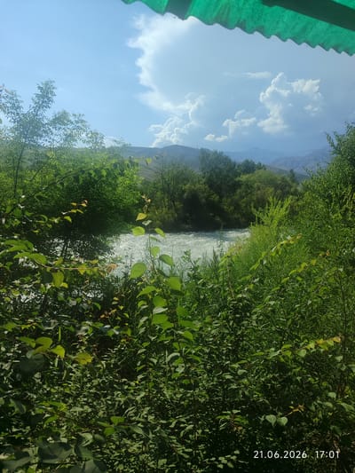 This is a landscape photograph of a river flowing through a verdant, tree-lined valley under a partly cloudy sky. The foreground is filled with dense green foliage, obscuring the view of the river and surrounding landscape. The river appears to be fast-flowing with white water. In the background, rolling hills and mountains are visible, suggesting a natural, possibly rural, setting. The time and date stamp on the image indicates it was taken on June 21, 2026, at 17:01. While the exact location is not visible in the image, the style of landscape, the foliage, and the mountains are consistent with the natural environment found in and around Toktogul, Kyrgyzstan, a region known for its scenic beauty and the Toktogul Reservoir. There are no people or discernable objects of human construction in the visible portion of the scene, besides what appears to be a green awning or canopy at the very top of the frame.