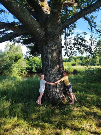 The image shows two young boys hugging the trunk of a large, old tree. The boy on the left, wearing a light-colored t-shirt and light blue shorts, is facing the camera and smiling. He has fair hair and is barefoot. The boy on the right, wearing a yellow t-shirt and dark shorts with a white stripe, is facing away from the camera and looking up into the tree. He also appears barefoot. Their hands are clasped in front of the tree trunk.

The setting is a grassy, sunlit clearing with tall grass. In the background, a body of water, likely a river or pond, is visible, bordered by lush green trees and vegetation. The sky is blue with a few wispy clouds. The lighting suggests it is daytime, likely late afternoon due to the warm sunlight and shadows cast. The overall atmosphere is one of childhood joy and connection with nature.

The location context provided is Мётчанскі сельскі Савет, Belarus. There is no visible text in the image.
