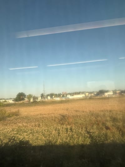 The image displays a daytime exterior landscape observed through a reflective window. The lower two-thirds of the frame are dominated by a vast expanse of dense, tall herbaceous vegetation, primarily yellowish-brown, indicative of dry marsh grasses or reeds. A dark, indistinct horizontal band is present at the bottom of the frame.
The background reveals a low-rise urban/suburban environment. Key features include a prominent lattice-structure telecommunications tower positioned slightly left of the image center, an assortment of residential and commercial-style buildings, and scattered deciduous trees. An elevated transportation embankment, consistent with a roadway or railway, spans horizontally across the background, supporting several unidentifiable vehicles.
The upper portion of the image shows a clear, light blue sky. A small, white, fixed-wing aircraft is faintly visible in the upper left quadrant of the sky. Several elongated, bright white linear reflections, consistent with interior light fixtures, are present on the transparent surface through which the photograph was captured.
This scene is geographically consistent with the marshland areas and adjacent developments found within Secaucus, New Jersey, United States, particularly views obtainable from transportation corridors such as rail lines or elevated highways traversing the Meadowlands region. No individuals are discernible within the frame.