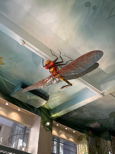 The image shows a large, three-dimensional model of a dragonfly, likely a Meganeura, mounted on a wall inside what appears to be a museum or educational institution. The dragonfly model is brightly colored with orange, red, and black details, featuring large veined wings that are semi-transparent.
The surrounding walls are painted with a mural depicting aquatic vegetation, including water lilies and other plants, suggesting a wetland or pond environment. There are architectural elements present, such as air conditioning units and lighting fixtures, that are integrated into the mural design. There is a window at the far right. The mural is in a palette of muted greens, blues, and yellows.
While this image resembles the museum or exhibition environment one might find at the Giza Geological Museum in Cairo, Egypt, there's no clear evidence to definitively confirm that the image was taken in the city of Cairo or its specific location.