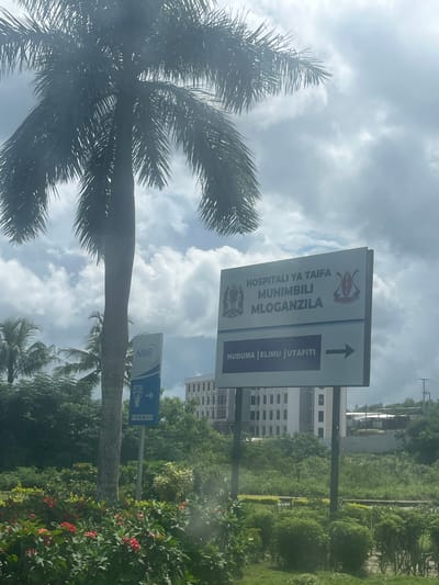 The image shows a sign pointing towards Hospitali ya Taifa Muhimbili Mloganzila in Mloganzila, Tanzania. The sign features the hospital's logo and the phrase "Huduma | Elimu | Utafiti" (Services | Education | Research). An arrow indicates the direction to the hospital. A palm tree is in the foreground, partially obscuring the view. In the background, a multi-story building is visible amidst greenery. A smaller blue sign indicating an NMB ATM is present near the base of the palm tree. The sky is cloudy.
