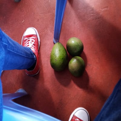 A photograph taken indoors, likely in a residence or business in Ihururu, Kenya. The image shows a view downwards toward a reddish-brown floor. On the floor are three green avocados and the legs of two people. One person is wearing blue jeans and red Converse sneakers with white laces and soles. The other person is also wearing blue jeans and a similar red Converse sneaker is visible. A leg of a light blue plastic chair is also in the scene.