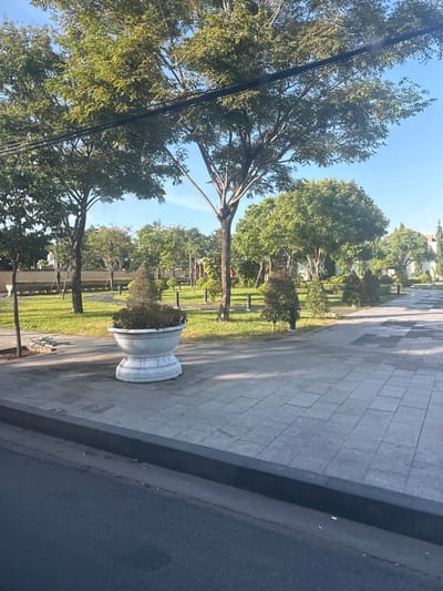 The image depicts a bright, sunny day in a park-like setting. The perspective is from a low angle, looking upwards through the branches of large, leafy trees with green foliage against a clear blue sky. Power lines run diagonally across the scene, suspended between the trees.

In the foreground and midground, a paved pathway made of grey rectangular tiles stretches into the distance. Adjacent to the pathway is a strip of green grass. A large, white, ornate planter with some greenery inside sits on the pathway. Further into the park, more trees and manicured bushes are visible, along with some lampposts. In the background, there are hints of buildings with light-colored facades.

The scene suggests a public outdoor space, possibly a park or a garden area bordering a street or walkway. The time of day appears to be morning or afternoon, given the bright sunlight casting shadows. The weather is clear and likely warm. There is no visible text in the image. The overall impression is one of a serene and well-maintained outdoor environment.