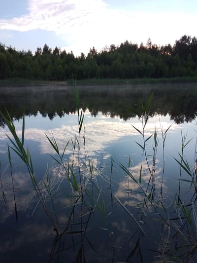 This media file shows a serene lake scene in Снопок Новый, Russia. The primary subjects are the calm lake, a dense forest lining the horizon, and tall reeds growing out of the water in the foreground. The lake's surface acts as a mirror, reflecting the sky, clouds, and the treeline, creating a symmetrical and peaceful composition. Thin wisps of mist hover just above the water's surface in the middle ground, suggesting a cool morning or evening.

The time of day appears to be either early morning or late evening, given the soft, diffused light and the presence of mist. The sky is a pale blue with scattered white clouds, tinged with pink and purple at the upper edges, hinting at the approach or departure of daylight. The weather seems calm and still, with no visible wind disturbing the water or the reeds. The overall mood conveyed is tranquil and contemplative, evoking a sense of natural beauty and quiet solitude. There is no visible text in the media file.