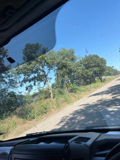 The image shows a view from inside a vehicle, looking through the windshield. The windshield has a patterned tint at the top. Outside the vehicle, a paved road slopes upwards and to the right. The road is bordered by a grassy embankment on the left, covered in green foliage and some red flowers. Several large trees with green leaves line the embankment and extend into the background. The sky is clear and blue. The interior of the vehicle is visible at the bottom of the frame, showing a dark dashboard with some vents and a steering wheel. Shadows of tree branches are cast across the road. The location is identified as Poroy, Bulgaria.
