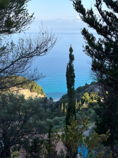 The photograph shows a view overlooking the Ionian Sea from what appears to be the coast of the Municipal Unit of Lefkada, Greece. The perspective is from an elevated position, framed by vegetation. In the foreground, there are branches of coniferous trees, some with cones. The middle ground features a prominent, slender cypress tree. The background showcases the sea, with varying shades of blue indicating depth and possibly different weather conditions. The coastline is marked by cliffs or slopes covered in greenery. Patches of beach are visible. The overall impression is that of a natural landscape with clear signs of Mediterranean flora and a serene seascape.
