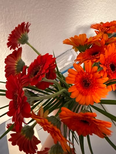 The image shows a close-up of a bouquet of gerbera daisies in various shades of red and orange. The flowers are arranged in a somewhat haphazard manner, with some facing the camera and others turned away. The petals are thin and pointed, and the centers of the flowers are dark. Green stems and leaves are visible among the blooms. The background is a textured, light-colored surface, possibly a wall. There is no indication of the location being in Lufingen, Switzerland, or any specific urban setting. The image is taken from a slightly elevated angle, looking down into the bouquet.