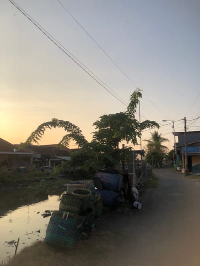 This image captures a scene in Plumbon, Indonesia, during what appears to be either sunrise or sunset, given the warm, soft glow of the sky and the long shadows. The foreground features a body of water, likely a canal or small river, reflecting the sky. Several woven baskets of various sizes are piled on the bank of the water. Behind the baskets, a street or path is visible, with a few buildings lining its side.
To the left of the water, a collection of houses with red tiled roofs are present. A tree with distinct, arching branches dominates the center of the image, its leaves creating a natural, curved canopy. Further down the street, a lamppost is visible, along with a tangle of power lines crisscrossing the sky. A palm tree can be seen behind the main tree. In the distance, the sky is a gradient of pale yellow and light blue, with a few specks that could be birds. The overall impression is of a quiet, rural or semi-urban area with a rustic, natural element intersecting with daily life.
