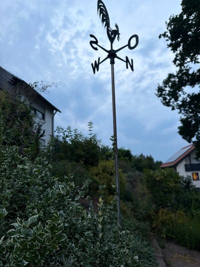 The image depicts an outdoor scene in Creußen, Germany, featuring a weather vane with a rooster and directional markers (N, S, W, E) against a cloudy sky. In the foreground, lush green and variegated foliage is visible, with some of the plants appearing to be variegated boxwood. Behind the vegetation, a white house with a dark roof is partially visible on the left side of the frame. Further in the background, another house with a red-tiled roof and solar panels is situated on a slope, with a lit window visible. The overall environment suggests a residential area with sloped terrain and dense vegetation. The weather vane is the central focus in the upper portion of the image, positioned on a metal pole.