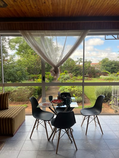 The image depicts a residential interior looking out through a large, multi-pane glass window onto a lush garden, located in Bulawayo, Zimbabwe.

Inside, the floor is covered with light-toned square tiles. To the left, a section of a striped upholstered bench or sofa in shades of beige and brown is visible. Centrally positioned is a small, square glass-top table with dark legs, surrounded by three black modern chairs featuring wooden legs and black metal cross-bracing. On the table are two dark green mugs, a white plate containing a portion of dark brown granular food, another white plate with several slices of red fruit (likely watermelon or tomato), and a small dark planter holding a purple flowering plant. The ceiling above is composed of warm-toned wooden planks, with a darker wooden beam separating it from the window frame. A sheer white curtain, patterned with a subtle scallop design, is tied back in the center of the window.

Outside, the garden is densely vegetated with a variety of green trees, shrubs, and flowering plants, indicating a well-maintained space. Dirt pathways are visible leading through the foliage, alongside sections of manicured grass. In the mid-ground, a metal barbecue stand (braai) is present. To the right, a white metal trellis structure stands near the house. In the far background, parts of other residential buildings with reddish-tiled roofs and perimeter walls are discernible through the dense trees, including several palm trees, beneath a partly cloudy blue sky. No individuals are present in the scene.