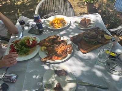 An outdoor table laden with food and drinks is set in what appears to be a dining area with a woven chair in the background and dappled sunlight filtering through trees. On the table, a Pepsi can, a glass of dark liquid with a straw, and a cell phone are visible. Plates of food include fried fish, fries, a salad with tomatoes and lettuce, and bread slices. A wooden cutting board holds grilled meat with lettuce and a lemon wedge. A salt and pepper shaker set, a glass of water, and an ashtray with cigarette butts are also present. A pack of Terea cigarettes is on the table near a fork and knife. A person's arm and hand are visible on the left side of the image, resting on the table. The overall scene suggests a meal enjoyed outdoors in a casual setting, likely in Bërdicë, Albania, given the context provided.