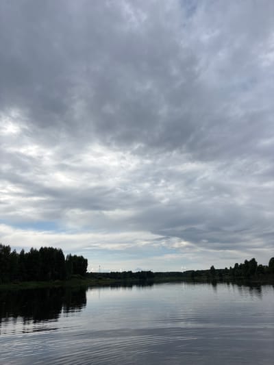 This is an eye-level, wide shot of a reflective body of water in Anteplevo (Okhotinskoe S/P), Russia. The sky is overcast with thick, gray clouds, though a sliver of pale blue is visible near the horizon. A dense line of dark green trees forms the treeline along the far bank of the water. The water's surface is calm, with gentle ripples creating horizontal patterns. The reflection of the trees and the cloudy sky is visible on the water. The environment appears to be a natural landscape, likely a lake or a wide river. There are no people or animals visible in the scene.