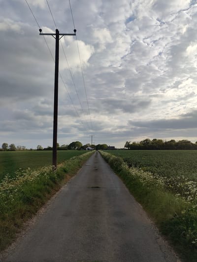 The image depicts a long, narrow asphalt road stretching into the distance in a rural area of Mid Suffolk, United Kingdom. The road is flanked on both sides by fields of green crops, possibly grains or vegetables. Wildflowers, primarily white, grow along the edges of the road. Overhead, power lines run along the length of the road, supported by wooden utility poles. The sky is overcast with gray and white clouds. In the distance, a house with a red roof is visible. The overall scene is quiet and agricultural.
