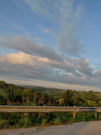 The image depicts a rural landscape with rolling hills covered in lush green trees and vegetation. In the foreground, a grey metal guardrail runs horizontally across the frame, separating a gravel road from the embankment. The guardrail is weathered and shows signs of rust in places. Tall green grass and some brown, dry plants grow along the embankment and around the base of the guardrail.

The middle ground features a dense canopy of trees, with varying shades of green indicating different types of foliage and the depth of the landscape. Beyond the trees, the hills recede into the distance, with softer, more muted colors suggesting a hazy atmosphere or the setting sun.

The sky above is a mixture of pale blue and soft, elongated clouds. Some of the clouds are tinged with warm, golden light, possibly from a sunrise or sunset. The overall impression is one of a tranquil, natural setting in the countryside. The image appears to be taken from the side of a road, looking out over the scenic vista. The location is identified as Camargo, United States of America.