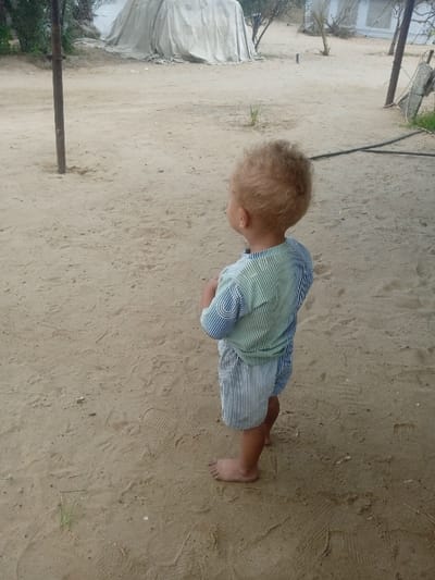 The image captures a young child, approximately a toddler, standing barefoot on sandy ground in Al-Mawasi, Palestinian Territories. The child is viewed from the back, possessing light brown or blond curly hair, and is oriented towards the left side of the frame. They wear a short-sleeved garment with horizontal green and blue stripes, paired with blue and white vertically striped shorts. The child's hands are held together in front of their body.
The ground is composed of light brown sand, showing various footprints, including an adult shoe print and smaller, possibly child-sized prints. Scattered small clumps of green vegetation are present in the sand. In the mid-ground, a dark vertical pole stands on the left. Further back, slightly to the left of center, a large structure covered with light-colored tarpaulin or fabric is visible, appearing to be a makeshift shelter. Sparse, dry-looking shrubbery or small trees are distributed across the background. On the right, another vertical post is observed, alongside dark tubing or wiring. A light-colored building with dark openings, possibly windows, is partially visible in the far-right background. The scene is illuminated by natural daylight.