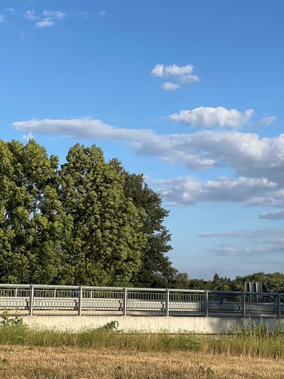 The image depicts a section of a highway overpass in Újezd u Brna, Czechia, on a clear, sunny day with a bright blue sky dotted with fluffy white clouds. A tall, dense line of green trees forms a backdrop behind the overpass, extending from the left to the right of the frame. The overpass itself features a concrete base topped with a metal railing, suggesting it is a pedestrian walkway or a barrier along the highway. In the foreground, dry, golden grass indicates a meadow or field bordering the road. The overall scene is serene, capturing a typical roadside landscape. There are no people or vehicles visible in the frame.