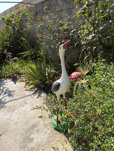 This image depicts a garden scene in Balakən, Azerbaijan. In the foreground, a white stork-like garden ornament stands on a green base. The ornament has a long neck, a red and pink beak, and black markings on its wings. To the right of the stork, a red mushroom-shaped ornament with white polka dots is visible, partially obscured by greenery. Behind the ornaments, there is a stone wall, and various plants, including rose bushes with red flowers and an aloe vera plant, are growing. The ground is a concrete pathway with scattered leaves and shadows. The environment appears to be an outdoor garden bathed in sunlight, suggesting it is daytime. No people or animals are present in the image.