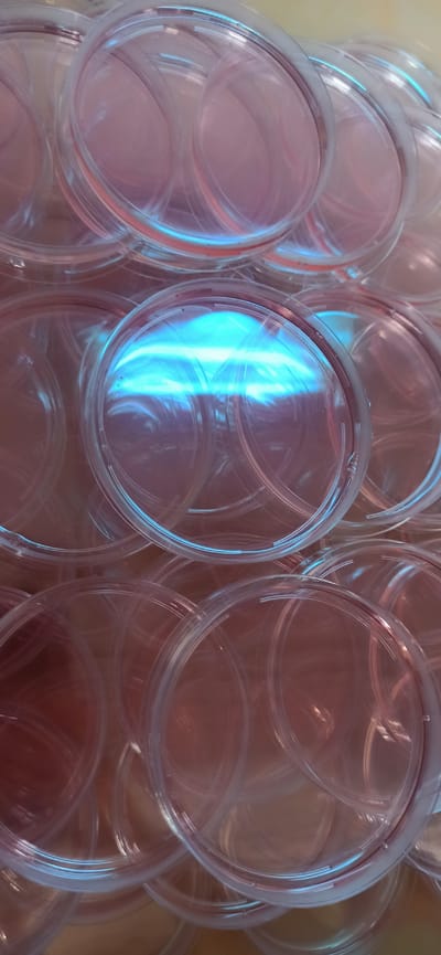The image shows a close-up, overhead view of a large pile of clear, round, plastic petri dishes. They are stacked on top of each other, with some of the dishes slightly angled, creating an overlapping pattern. The lighting in the image is dramatic, casting reflections and highlights across the surfaces of the dishes. One particularly bright, vertical reflection of blue light is prominent in the center of the image, suggesting a strong light source. The petri dishes appear to be disposable and are commonly used in laboratories for culturing microorganisms. The overall impression is one of a large quantity of laboratory supplies, possibly in storage or awaiting use. There is no visible text in the image, and no indication of people, specific weather conditions, or time of day. The setting is likely a laboratory or a storage area within a scientific facility. The image is abstract in nature, focusing on the textures, shapes, and light reflections of the objects themselves rather than a narrative scene.