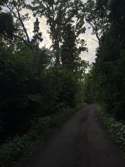 The image depicts a narrow, unpaved road winding through a dense forest. The road surface appears to be dirt and gravel, with some areas showing signs of dampness. On either side of the road, thick foliage of trees and undergrowth forms a natural wall. The trees are predominantly deciduous and coniferous, with some taller specimens reaching towards the overcast sky. The lighting suggests it is either early morning or late evening, with limited direct sunlight penetrating the canopy. There are no people or animals visible in the scene, and no man-made structures other than the road itself. The overall impression is one of a secluded, natural environment. The location in the city of Gorka, Russia, is not discernible from the visual elements of the image.