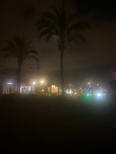 The image depicts an outdoor scene at night, likely in a city or town, with palm trees prominently featured. The overall atmosphere is somewhat hazy or foggy, obscuring details and creating a dreamy effect, amplified by the artificial lights that punctuate the darkness.

In the foreground, silhouetted against the night sky, are the fronds of at least two palm trees. Their dark shapes are defined by the ambient light, suggesting they are relatively close to the viewer. One of the palm trees is particularly large and central, with its trunk running vertically through the frame.

Further in the background, across a dimly lit area, buildings are visible. These structures are illuminated by various lights, including streetlights, building lights, and possibly decorative lighting, which appear as bright orbs and streaks due to the haze. Some of these lights are colored, with hints of green and blue visible amongst the white and yellow. There appears to be a road or pathway in front of the buildings.

There's a sense of artificiality and urban presence, indicated by the streetlights and buildings. The time of day is clearly night. The weather appears to be hazy or foggy, which contributes to the soft glow of the lights and the muted visibility of distant objects. There are no discernible people in the image. The scene evokes a slightly mysterious or tranquil mood due to the interplay of light and shadow in the hazy conditions. No text is visible in the image.