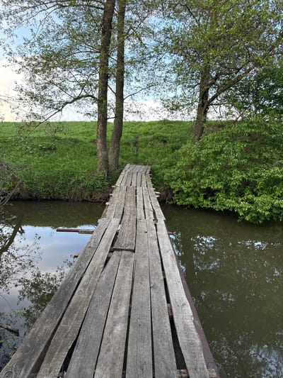 The image shows a narrow, wooden bridge stretching across a body of water, likely a canal or small river. The bridge is constructed of planks and appears aged, with some planks warped or missing. Lush green vegetation borders the water on both sides. Two trees frame the left side of the image, with their branches reaching towards the sky. The sky is partially visible through the tree branches, displaying a mix of blue and white clouds. Reflections of the trees and sky are visible in the water. The location is Ленино, Russia.