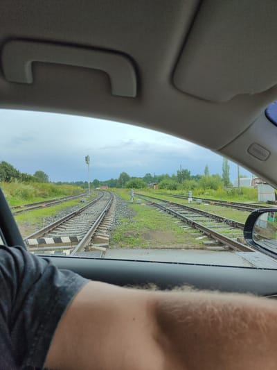 The image, taken from inside a vehicle, looks out at a set of railroad tracks that cross a road. Two sets of parallel tracks are visible, curving into the distance. A traffic signal stands next to the tracks on the right. The area is overgrown with green grass and scattered trees. The sky is overcast, suggesting cloudy weather. The interior of the car is partially visible, including a grab handle on the ceiling and the side mirror. The arm of a person wearing a grey t-shirt is in the foreground, resting on the car's door.