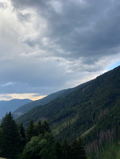 This image depicts a mountainous landscape near Freienfeld - Campo di Trens, Italy, under a dramatic, overcast sky. The foreground features a dense forest of dark green coniferous trees, with some lighter green deciduous trees interspersed. The middle ground is dominated by steep, tree-covered slopes of mountains. A narrow, lighter-colored clearing or path is visible cutting diagonally across one of the mountain slopes, bordered by a mix of green trees and stark, dead trees. In the background, several layers of receding mountain ranges are visible, their forms softened by atmospheric haze and the muted lighting. The sky is filled with a complex arrangement of grey clouds, with pockets of brighter, possibly sunlit, sky peeking through in the upper left and near the horizon line between the mountains. The overall impression is one of a vast, natural environment with signs of both lush growth and past disturbances.