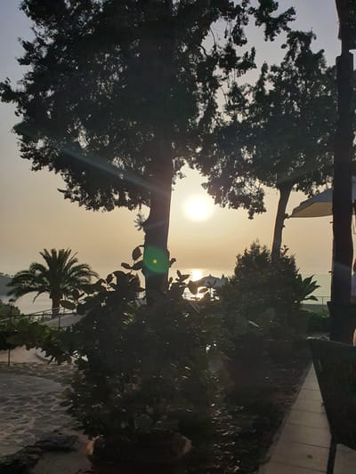 This is a photograph taken at sunset overlooking the sea in Deià, Spain. The foreground is dominated by the silhouettes of several trees and dense foliage, with a palm tree visible to the left. The sun is a bright orb in the sky, casting a warm, hazy glow over the scene and reflecting on the calm water. In the middle ground, there are several white umbrellas suggesting a beach or restaurant area. The overall impression is one of a serene, tropical evening.