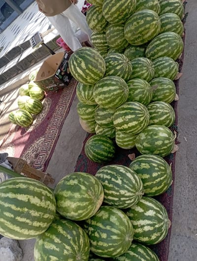 The image shows a large pile of watermelons at an outdoor market. The watermelons are round and have a striped green rind. Some are stacked on top of each other, while others are arranged in rows on a patterned rug. A cardboard box with text is partially visible on the left side of the image, along with a white cloth. The scene appears to be set in Termez, Uzbekistan, possibly during the daytime, given the lighting. There are no people clearly visible in the image. The overall impression is that of a fresh produce stall at a local market.