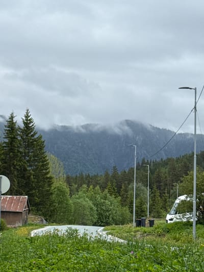 The image captures a misty mountain landscape in Dalen, Norway, under an overcast sky. In the foreground, stretching across the bottom right, is a section of a road or path lined with lush green grass and dense vegetation. Several tall, slender utility poles, possibly streetlights or overhead line supports, extend upwards and towards the left from the right side of the scene, with wires strung between them.

The middle ground is dominated by a majestic mountain range covered in dark evergreen forests. Low-hanging clouds or mist partially obscure the higher slopes, creating a moody and atmospheric scene. The sky, visible in the upper left portion, is a uniform light grey, indicating overcast weather.

On the right side, partially hidden by the abundant foliage, a white vehicle, possibly a van or truck, is visible. Below it, near the edge of the road, are dark rectangular objects that appear to be bins or bollards. In the bottom right corner, a small, rustic wooden structure with a rusty corrugated metal roof, resembling a shed or utility building, can be seen, along with a white satellite dish. No people or specific activities are depicted, giving the scene a serene and natural feel, despite the presence of human infrastructure. There is no visible text.
