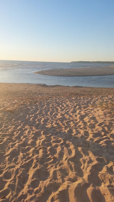 The image depicts a sandy beach in Vääna-Jõesuu, Estonia, under a clear, pale blue sky. The foreground is dominated by rippled sand dunes, casting long shadows as they are illuminated by the low-angled sun, suggesting either early morning or late afternoon. In the mid-ground, calm, shallow water forms a gentle bay or estuary, with a visible sandbar extending into it. The background features a distant, tree-lined coastline. No people or animals are visible in the scene, and no discernible actions or interactions are taking place. The environment is natural and serene, characterized by sand, water, and sky.