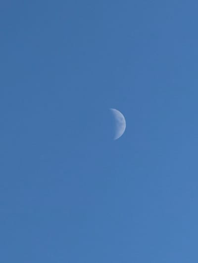 The image shows a crescent moon in a clear, pale blue sky. The moon is illuminated from the right, with its left side in shadow. The sky is a uniform color, with no clouds visible. The image is an outdoor shot, likely taken during the daytime or twilight hours. There are no people, objects, or buildings visible in the frame, and no specific location within the city of Solnechnogorsk, Russia can be determined from the image itself.