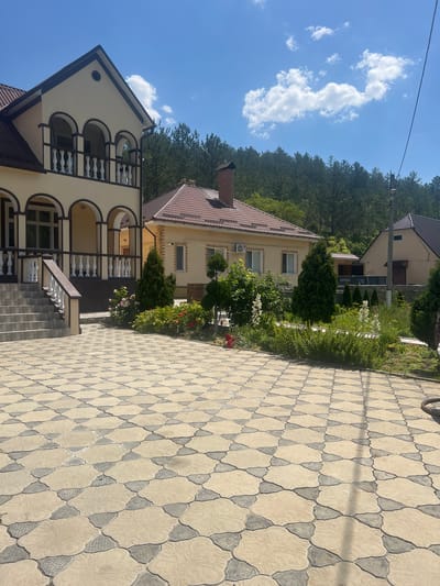 The image displays a residential property on a sunny day. The foreground is dominated by a paved courtyard with a decorative interlocking stone pattern in beige and grey. To the left, a two-story beige house with dark brown trim features arched windows and a balcony with white balustrades. A set of stone stairs leads up to the house. In the middle ground, a smaller, single-story yellow house with a brown tiled roof is visible, set back from the front house. This house has white window frames and an air conditioning unit mounted outside. A manicured garden with various shrubs, flowers (including white lilies and red roses), and small evergreen trees is situated between the two houses and extends towards the right. A dense forest of pine trees forms the backdrop, rising up a slope. The sky is blue with scattered white clouds. A black power line runs diagonally across the upper right portion of the image. The scene appears to be located in Bolshoy Molokish, Moldova.