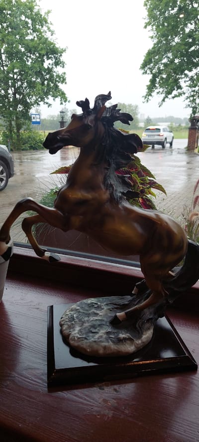 A bronze-colored figurine of a horse in mid-rear is positioned on a dark wooden surface. The horse, with its mane and tail flowing dynamically, is mounted on a textured base that mimics a rocky terrain. Behind the figurine, a window reveals a rainy outdoor scene. Through the wet glass, a light-colored SUV is visible driving away, its brake lights illuminated. A street lamp and a blue sign with white symbols are also discernible in the background, suggesting an urban or suburban setting. The overall impression is that of a decorative item placed indoors, with a view of a wet day outside. The location is identified as Ziniūnai, Lithuania.