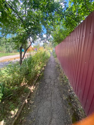 The image depicts a narrow, cracked asphalt path bordered by dense greenery on the left and a tall, corrugated red metal fence on the right. Overhanging trees with green foliage create dappled shade on the path. In the background, a dirt road with a few puddles is visible, along with hints of buildings and orange flowers. A small, light-colored wooden beam runs along the edge of the path next to the greenery. The overall scene suggests a residential or back alley area in a place like Akhtyrskiy, Russia, during daylight.