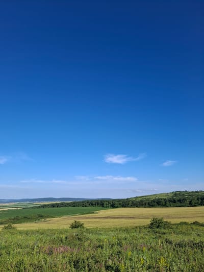 This is a landscape photograph taken outdoors on a clear, sunny day. The image features a vast expanse of bright blue sky filling the left side of the frame. Wispy white clouds are scattered across the sky, particularly in the upper right quadrant. The right side of the image depicts a rural landscape with agricultural fields.

The foreground on the right is dominated by lush green grass and wildflowers in shades of purple and yellow, suggesting a meadow or roadside verge. Behind this, a field of golden-yellow crops, likely wheat or barley, stretches into the distance. Further back, a dark green line of trees forms a border along the edge of the fields. Beyond the trees, more fields and rolling hills are visible, with some houses or buildings dotting the landscape in the distance. The overall impression is one of a peaceful, rural setting in the Russian countryside, possibly during the summer months given the ripeness of the crops and the vibrancy of the vegetation. The light suggests it is midday, with the sun high in the sky. There is no text visible in the image.
