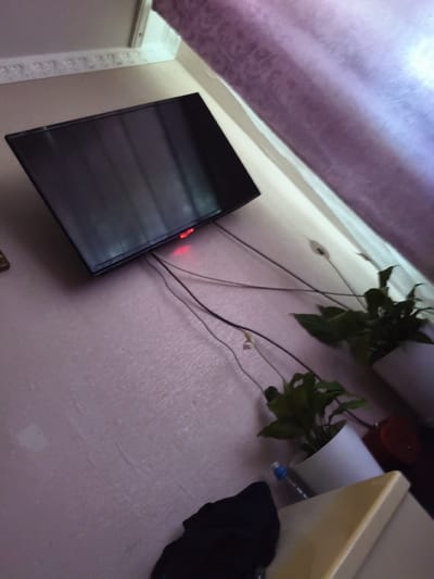 A wall-mounted flat-screen television is visible in the upper left portion of the image. A red indicator light is illuminated on the bottom edge of the TV. Several black cables are plugged into the back of the television and hang down. Below the television, two potted peace lilies are placed. One is slightly out of focus and to the left, while the other is in sharper focus to the right. Both plants are in white pots. A clear plastic bottle with a blue cap is visible next to the rightmost plant, resting on a light-colored surface. A dark fabric item, possibly clothing, is draped in the lower left corner. A purple curtain is visible in the background on the right side of the image. The walls appear to be painted a light, textured color. The overall scene suggests an indoor domestic setting, possibly a living room or bedroom. No specific location in Novy, Russia can be determined from the image itself.