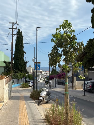 The image depicts a street scene in Rethymno, Greece. A silver scooter is parked on the right side of a pedestrian walkway. The walkway is paved with grey bricks and features a tactile paving strip for visually impaired pedestrians. A young tree, supported by green ties, stands in a patch of vegetation on the edge of the walkway.
The street slopes downwards, with buildings lining the right side. These buildings are a mix of styles, some with white facades and balconies, others with darker grey exteriors. A few cars are parked along the street, including a black SUV on the far right. On the left side of the image, there is a wall and a light green building.
In the background, a pedestrian crossing is visible, marked by white stripes on the asphalt. A pedestrian crossing sign with a blue background and a white silhouette of a person walking is also present, along with a traffic light showing two amber lights. Further down the street, the sea is visible under a blue sky with scattered white clouds. Overhead, power lines crisscross the scene, supported by wooden and metal poles. Several tall, slender evergreen trees are also present in the landscape, adding to the Mediterranean feel of the location.
