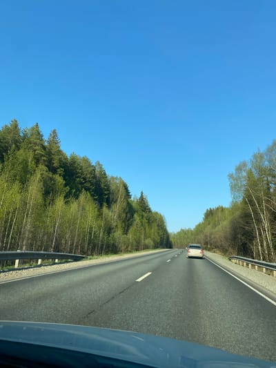 A highway bordered by dense forest under a clear blue sky. A silver car is visible in the distance, traveling in the same direction as the photographer. The road surface is asphalt with a white lane divider. A metal guardrail runs alongside the road, separating it from the treeline. The image is taken from inside a vehicle. No people are visible. The location cannot be verified as Samolet, Russia based on visual elements alone.