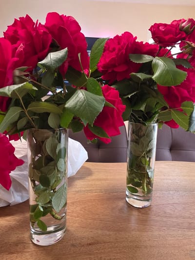 Two clear cylindrical glass vases are arranged on a light brown wooden surface. Each vase contains a bouquet of vibrant red roses with green leaves. The backdrop includes a dark brown cushioned surface behind the vase on the left, and a crumpled white material behind the vase on the right. The scene appears to be indoors. The location in the city of Vinitsa, Bulgaria cannot be determined from this image.