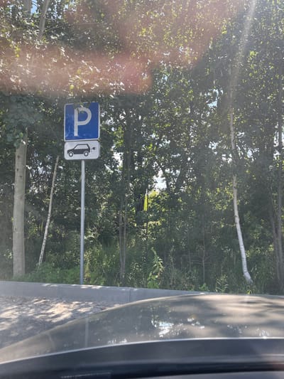 The image shows a traffic sign on a metal pole in Ivankovychi, Ukraine. The sign consists of two rectangular panels stacked vertically. The top panel is blue with a white letter "P" in the center, indicating a parking area. The bottom panel is white with a black outline of a car and a charging plug on the right side, signifying an electric vehicle charging station. The sign is positioned against a backdrop of dense green foliage from trees and bushes. The foreground includes the edge of a paved area and the reflection of trees on a car's hood, suggesting the photograph was taken from inside a vehicle. The scene appears to be an outdoor parking area, likely near a natural or wooded environment.