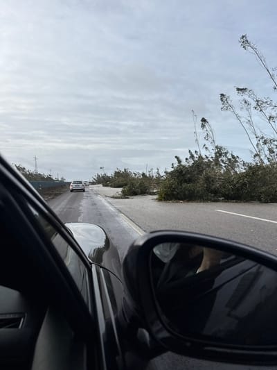 The image captures a roadside scene in Leiria, Portugal, viewed from the interior of a dark-colored vehicle. The road surface is visibly wet, suggesting recent precipitation or standing water. Ahead, a line of traffic is present, including a light-colored station wagon in the midground. The right side of the road is extensively covered with large accumulations of green and brown tree debris, consisting of branches and foliage, indicating recent tree felling or damage from a weather event. Several damaged trees with sparse foliage and broken branches are visible further along the roadside. A power line structure is identifiable on the left side of the road in the distance. The sky is overcast with a uniform grey cloud cover. The vehicle's side mirror on the right reflects a light-colored object within the vehicle's interior, possibly a limb.