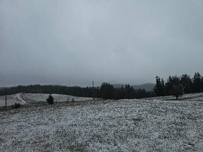 This image captures a wide outdoor landscape in Vranentsi, Bulgaria, under an uniformly overcast, light grey sky. The foreground features a gently sloping field, largely covered by a sparse dusting of snow over dry, brown vegetation and exposed earth. In the mid-ground, two slender, dark-colored utility poles stand vertically; one is positioned to the left and another slightly right of center. A narrow dirt track curves uphill from the lower left towards a distant tree line. A small, dark evergreen tree is centered in the mid-ground, while a single, bare-branched deciduous tree stands on a gentle rise to the right. A dense, dark forest composed primarily of evergreen trees forms a horizontal band across the mid-distance. Beyond this immediate tree line, additional forested hills recede into a pervasive grey atmospheric haze. Above the distant tree line, a horizontal array of numerous small, dark, indistinct objects is visible against the pale grey sky. No people or animals are present in the scene.