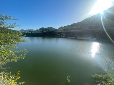 The image depicts a serene, sun-drenched waterscape with a clear blue sky. A calm, greenish lake fills the foreground and midground, with gentle ripples on its surface catching the sunlight. The sun is high in the sky, casting bright rays and lens flares, suggesting it is midday.
On the right side of the image, a sunlit hill covered in lush green trees slopes down towards the water. A concrete bridge, supported by large pillars, spans across the water in the midground, carrying what appears to be a road. The bridge and the surrounding hills are bathed in sunlight, highlighting the bright, warm weather.
On the left side, a cluster of green foliage from a tree branch extends into the frame, its leaves sharply defined against the bright sky. The overall scene evokes a sense of tranquility and natural beauty, with the man-made bridge integrated into the landscape. The location is identified as Asparuhovo, Bulgaria. No people or text are visible in the image.